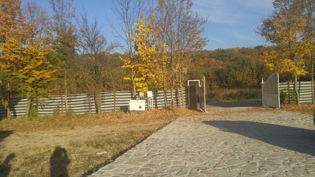 Pensiunea Casa Vanatorului Hotel Oteleni Bagian luar foto