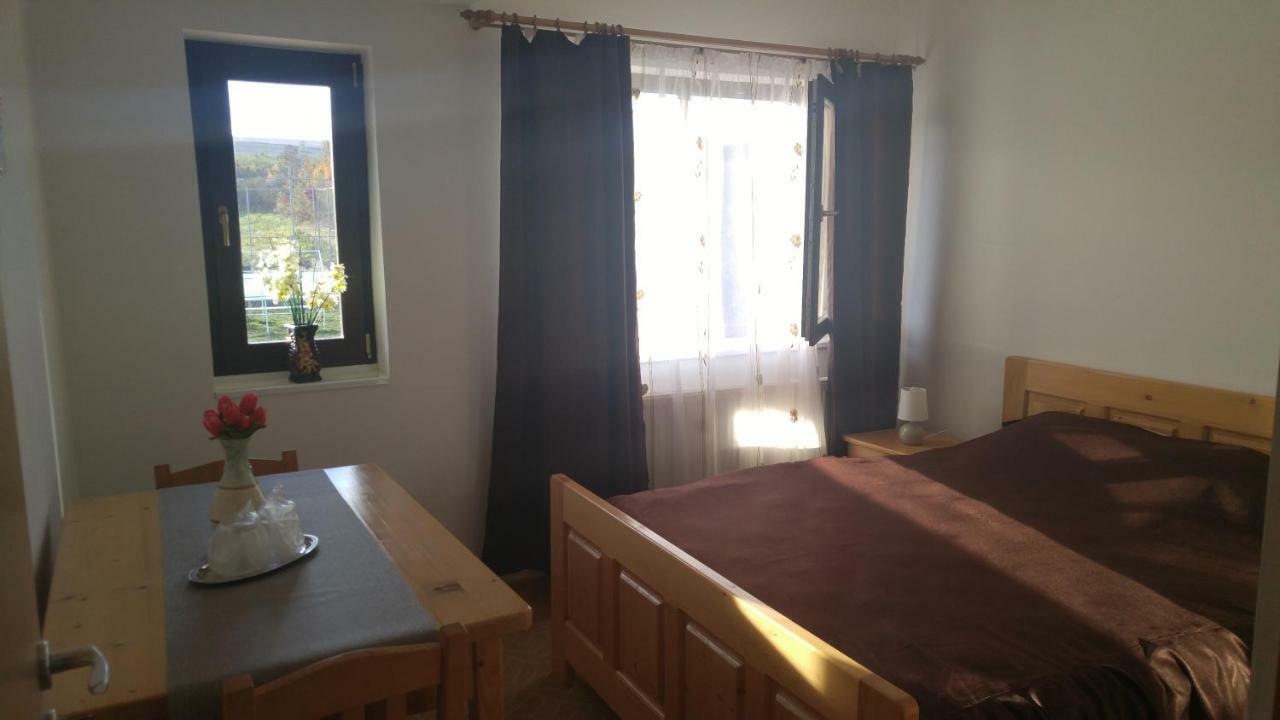 Pensiunea Casa Vanatorului Hotel Oteleni Bagian luar foto