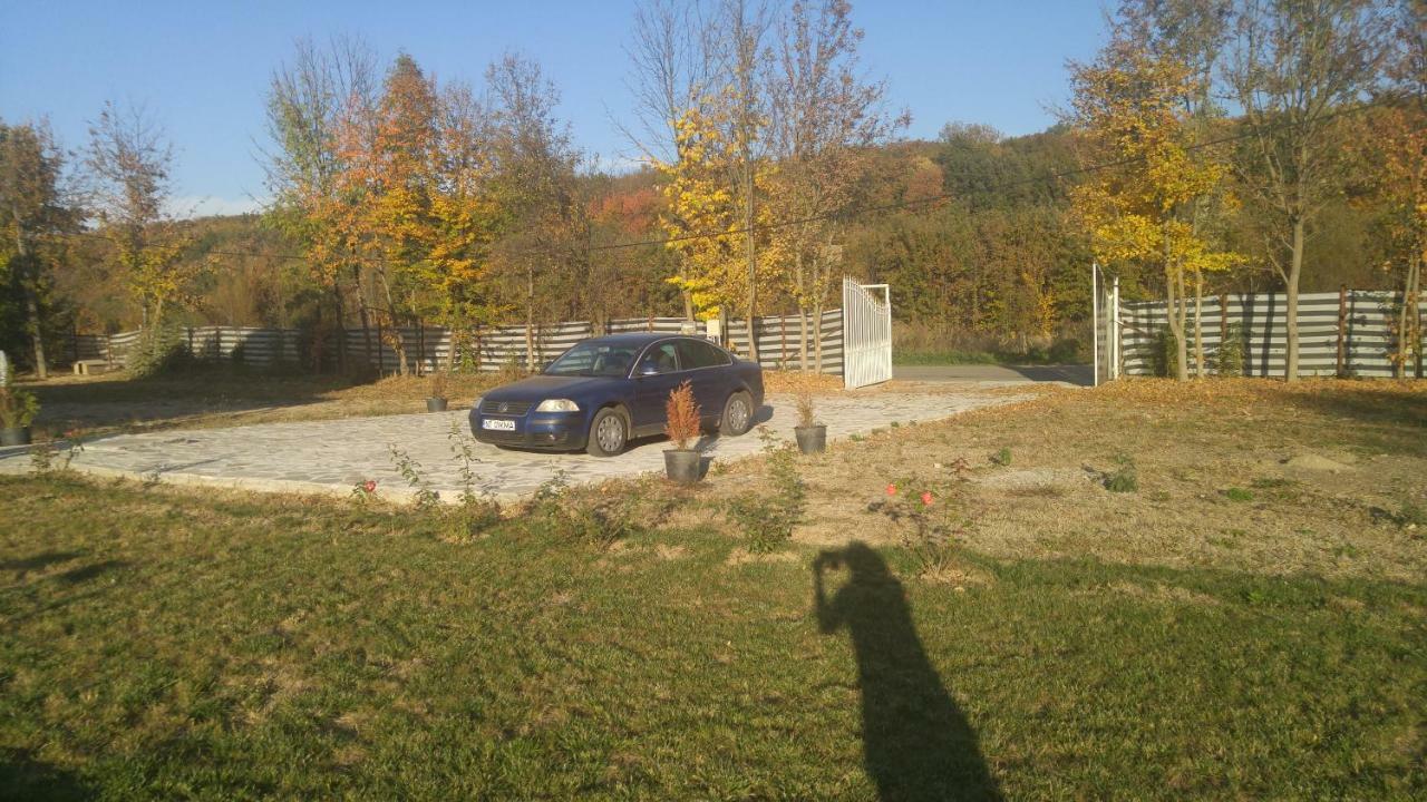 Pensiunea Casa Vanatorului Hotel Oteleni Bagian luar foto