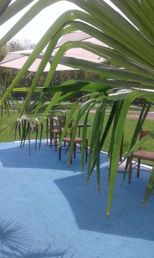 Pensiunea Casa Vanatorului Hotel Oteleni Bagian luar foto