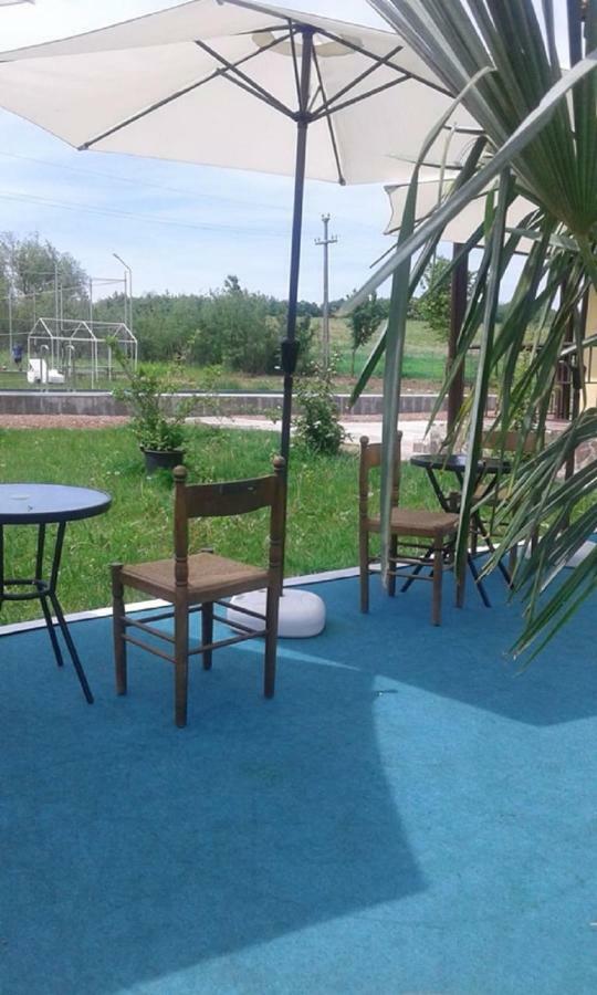 Pensiunea Casa Vanatorului Hotel Oteleni Bagian luar foto
