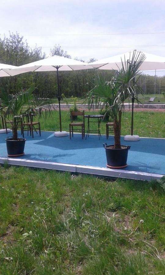 Pensiunea Casa Vanatorului Hotel Oteleni Bagian luar foto
