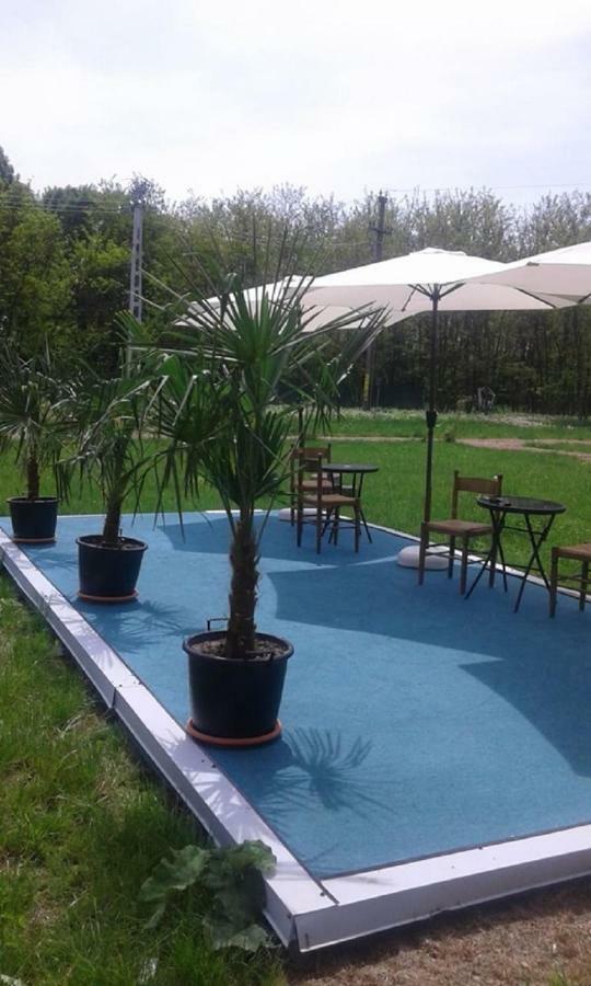 Pensiunea Casa Vanatorului Hotel Oteleni Bagian luar foto